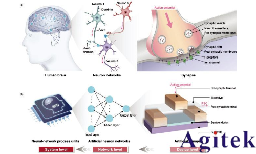 憶阻器存算一體技術(shù)助力DeepSeek時代(圖2)