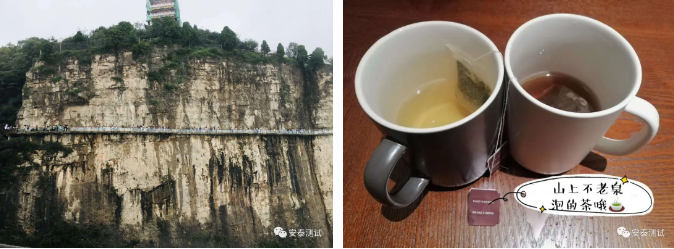 2020安泰之旅-龍門石窟朝大佛，云臺山里尋道蹤(圖9)