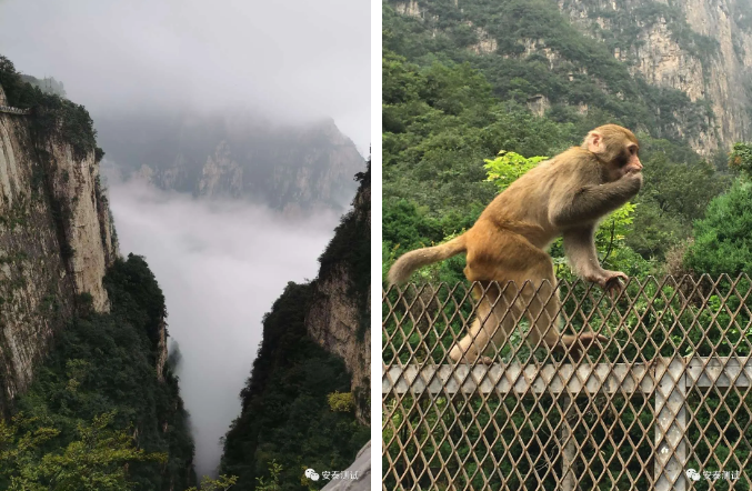 2020安泰之旅-龍門石窟朝大佛，云臺山里尋道蹤(圖10)