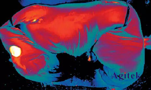 熱像儀在科研行業中的應用(圖6)